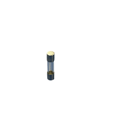 6900AQ9028D - LG Fuse, Time Delay - Glass Fuse